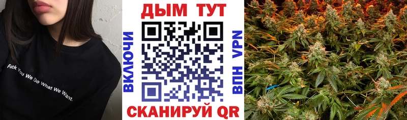 Купить  Сясьстрой  Канабис Amnesia 
